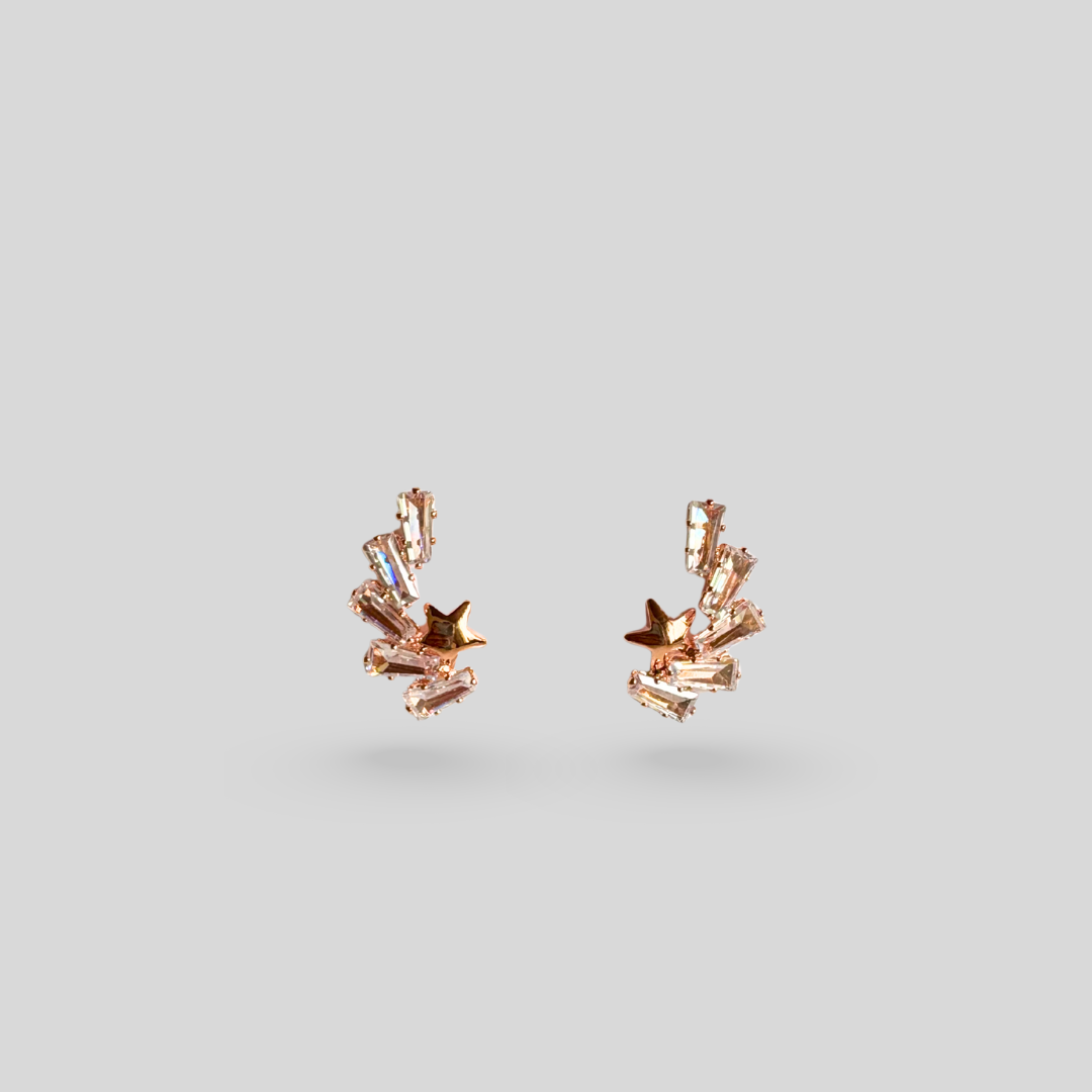 Rose gold earrings