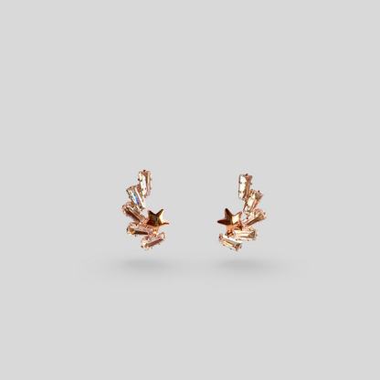 Rose gold earrings